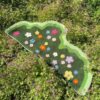 Moss plant carpet - Image 3