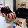 Naughty polka dot puppy - Image 2